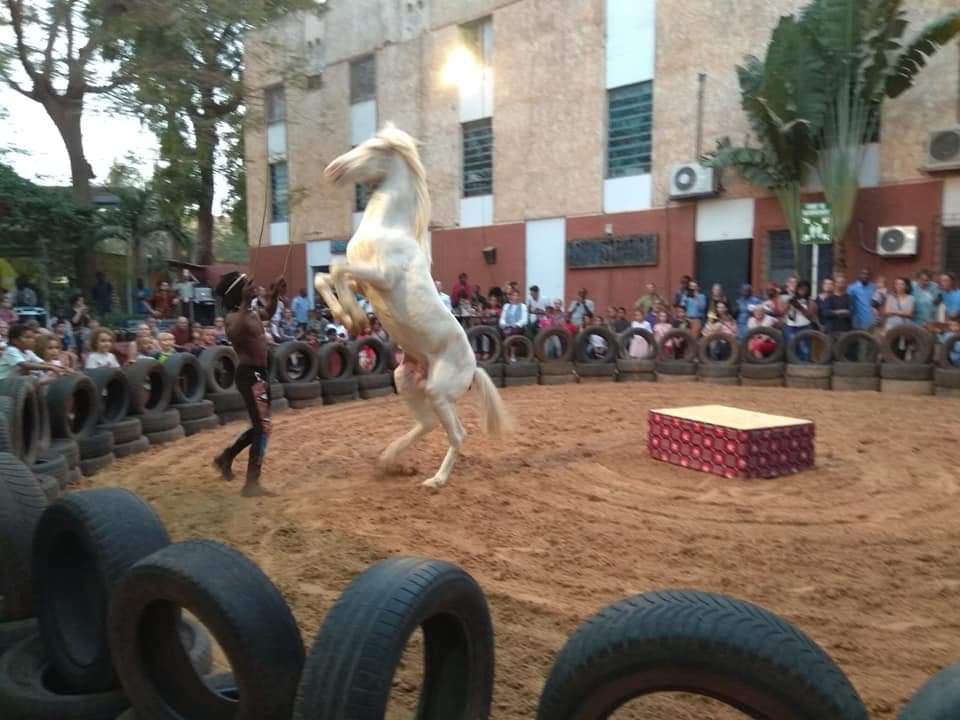  Festival des arts équestres: Le promoteur invite les burkinabè à y prendre goût