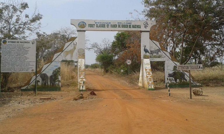 Tourisme au Burkina Faso: La réserve de Nazinga, une véritable richesse faunique