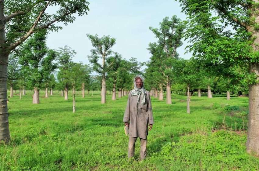 CINÉMA : présentation du documentaire ‘’L’homme qui plante des Baobabs’’ de Michel K. Zongo
